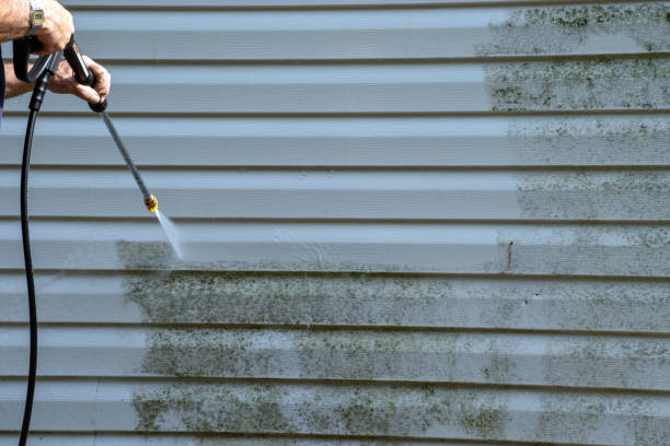 Best Basement Cleanout  in Monticello, NY